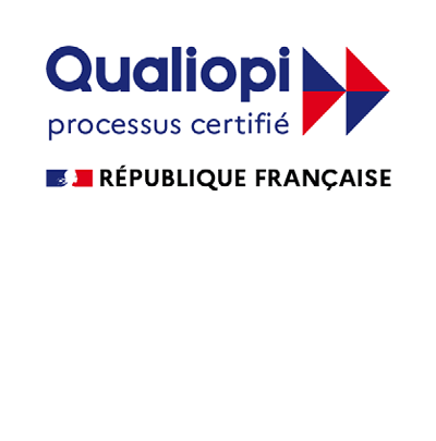 Logo Qualiopi Footer Site