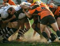competences domaine sport competences domaine sport